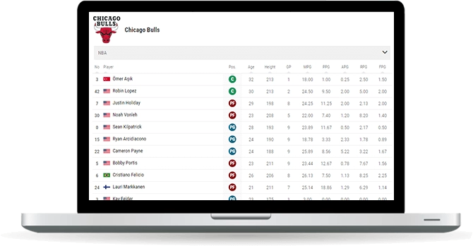 basketball team squad statistics widget overview