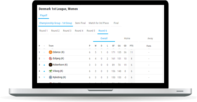handball standings widget overview