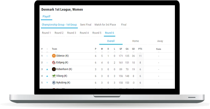 handball standings widget overview