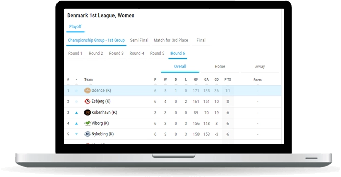 handball team standings widget overview