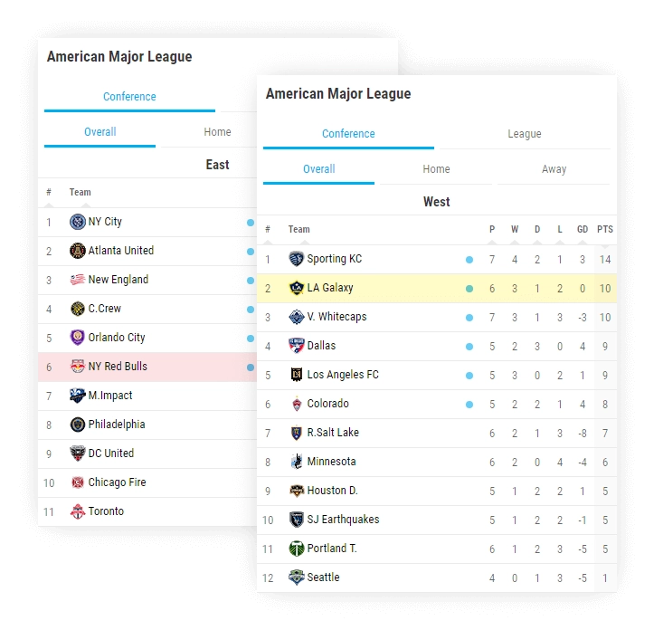 soccer team standings division conference standings