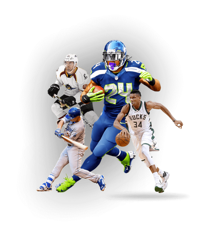 Sports Data Company, Widgets and API